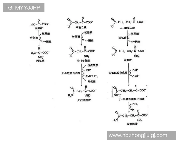 独家深度解析LNG耐力对比及其市场影响因素分析